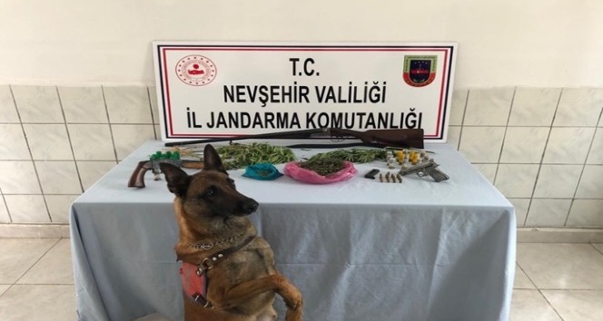 Jandarma ekipleri Gülşehir’de uyuşturucu operasyonu yaptı