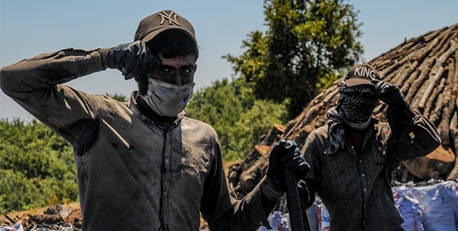 1.400 rakımda kan ter içinde ekmek mücadelesi