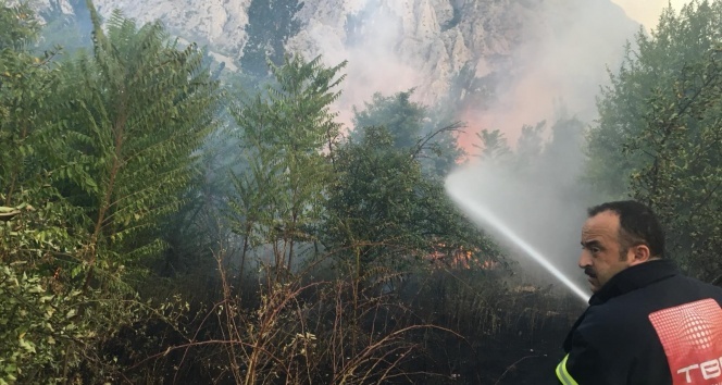 Amasya'da yangın: 5 dönüm alan zarar gördü