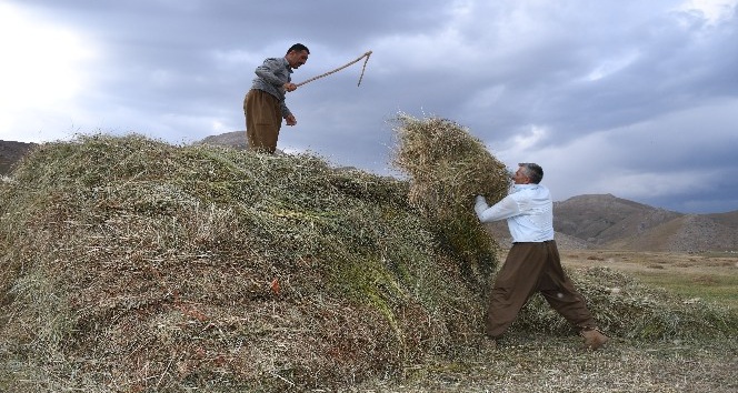 Şırnak’ta saman hasadı başladı