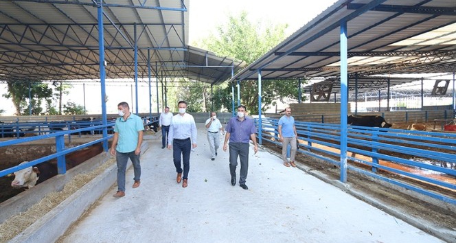 İl Müdürü Recep Bulut, kalkınma yatırımlarını yerinde inceledi
