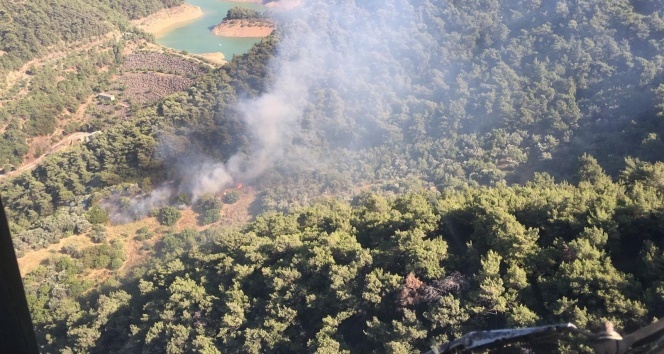 İzmir&#039;de baraj yakınlarında orman yangını paniği