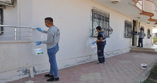 Cizre’de ilaçlama çalışmaları devam ediyor