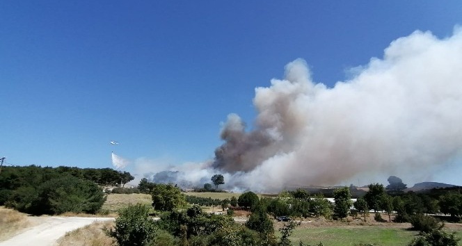 Çanakkale’de orman yangını