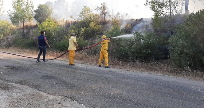 Osmaniye’de orman yangını