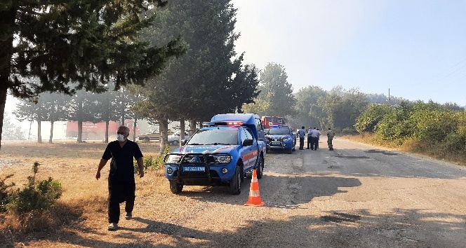 Osmaniye’de çıkan orman yangını kontrol altına alındı