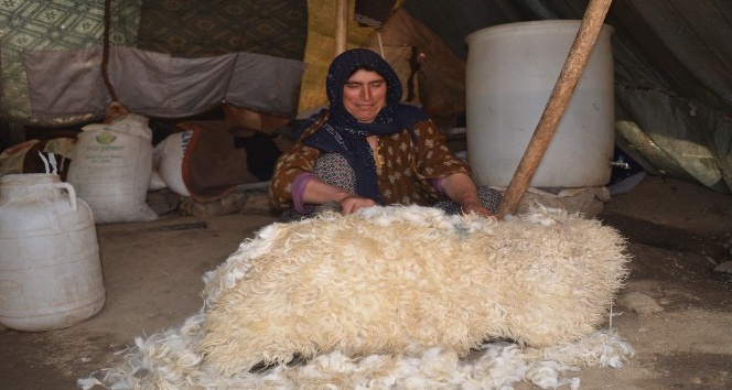 Koyun postu içinde kışlık peynir üretiliyor