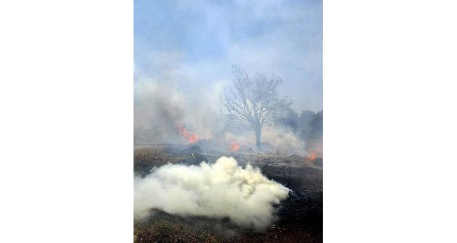 Arazide çıkan yangını itfaiye söndürdü