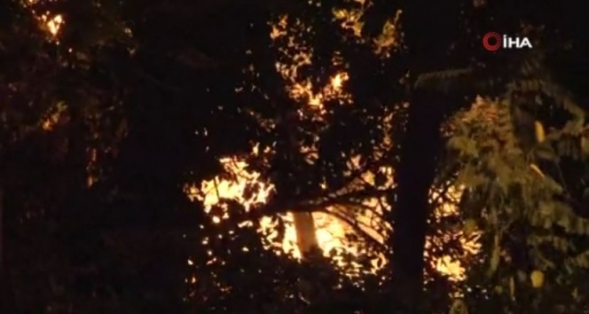 Emirgan Korusu’nda yangın