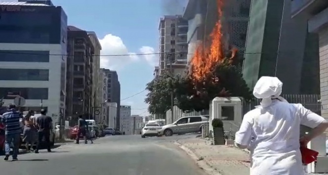 Ümraniye'de yanan elektrik kabloları faciaya neden oluyordu