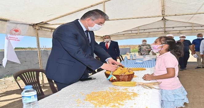 Vali Yılmaz mısır hasadına katıldı