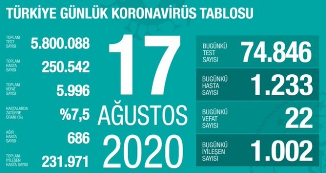 Türkiye'de son 24 saatte 1233 kişiye koronavirüs tanısı konuldu, 22 kişi hayatını kaybetti