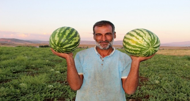 Karpuz tarlasında doğdu, karpuz yetiştiricisi oldu