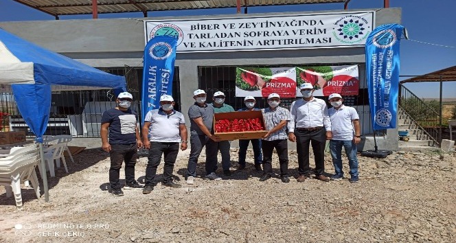 Tarladan sofraya verim ve kalitenin arttırılması projesi