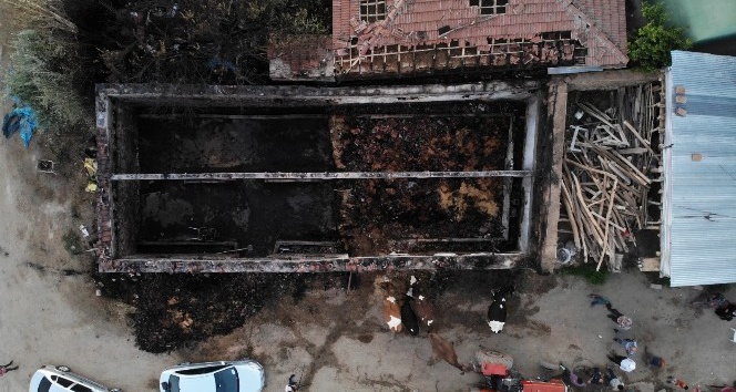 Ahırda çıkan yangında 8 hayvan telef oldu