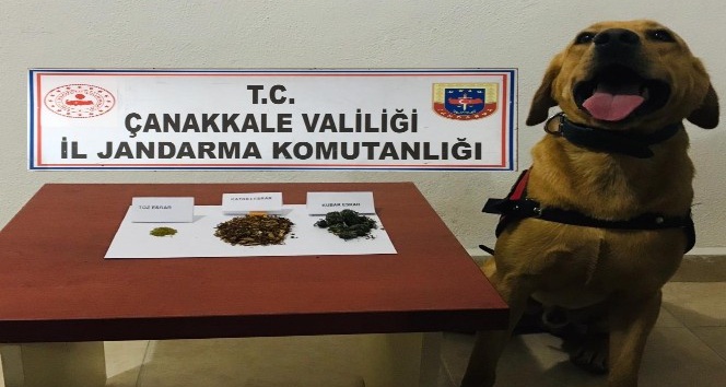 Biga’da uyuşturucu operasyonu