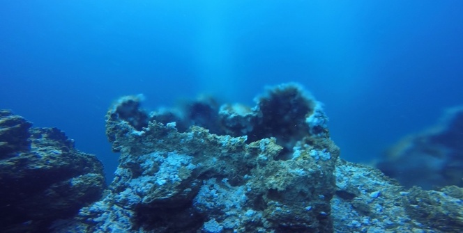 Yanardağa benzeyen mikrobiyalitler büyüledi