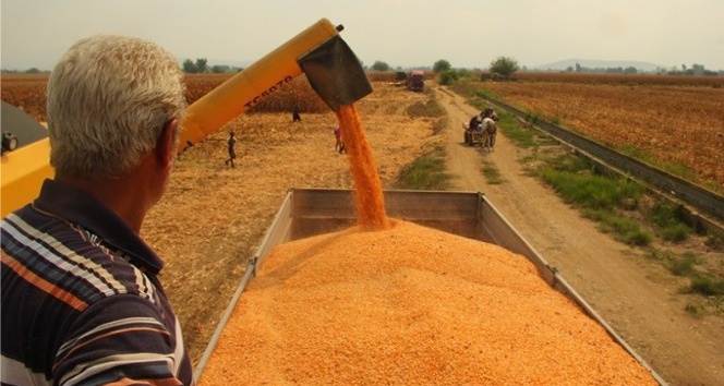 2020 ÇKS kayıt süresi uzatıldı