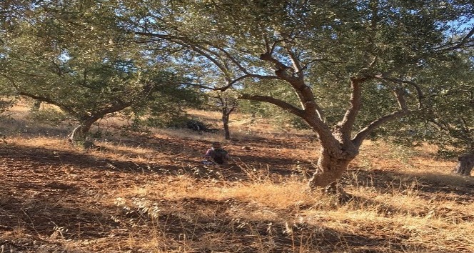 79 yaşındaki kayıp Alzheimer hastası kadın bulundu