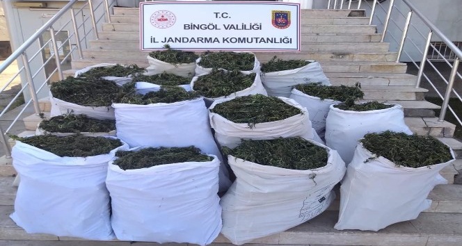 Bingöl’de 251 kilogram esrar ele geçirildi