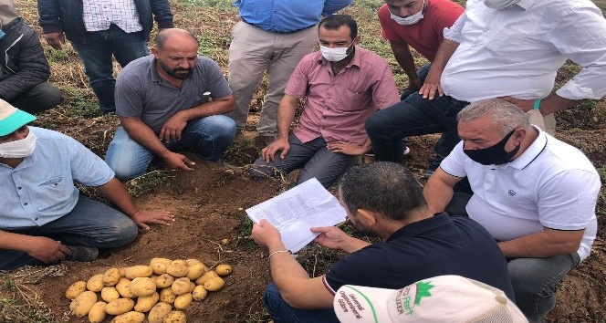 Nevşehir’de patates hasadı başladı