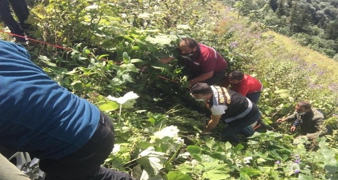 Fotoğraf çekmek için yol kenarında duran doktorun aracı uçuruma yuvarlandı: 1 ölü