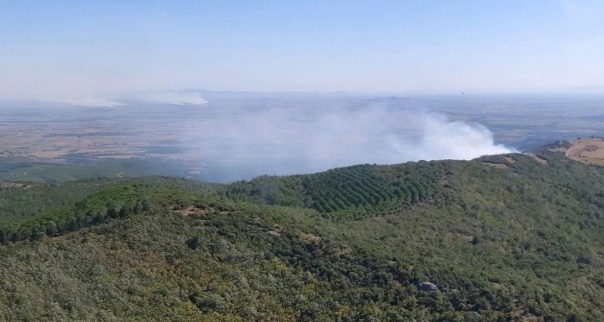 Osmaniye’de orman yangını