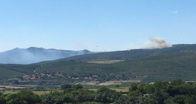 Osmaniye’de çıkan orman yangını kontrol altına alındı