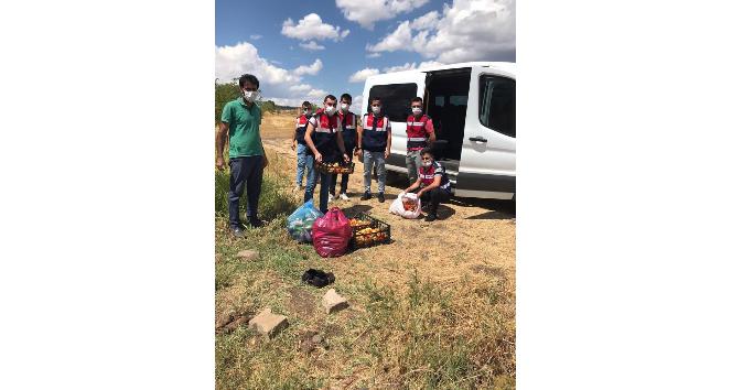 Bingöl’de jandarma, Covid-19 hastasının bahçesinde hasat yaptı