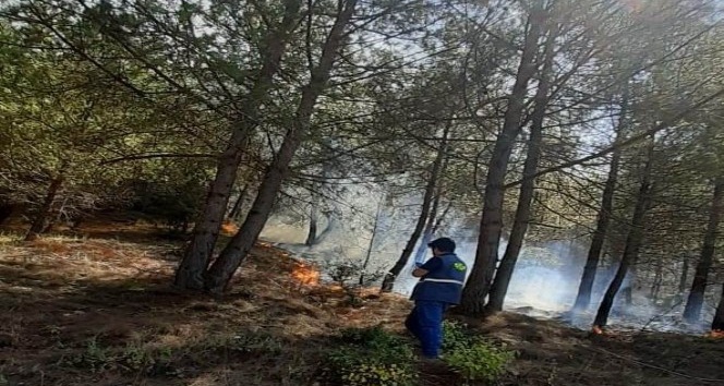 Düziçi’nde çıkan orman yangını büyümeden söndürüldü