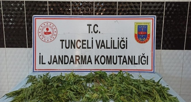 Tunceli’de uyuşturucuyla mücadele