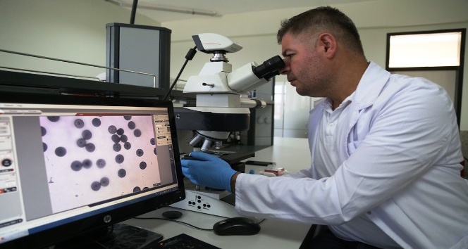 ASÜ’lü bilim insanından kırık tedavileri için yeni keşif