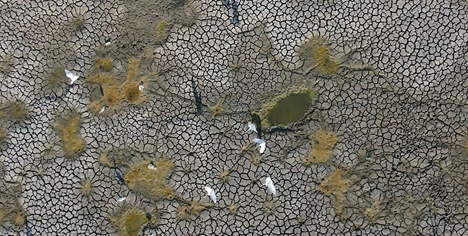 Bursa’da çevre felaketi büyüdü