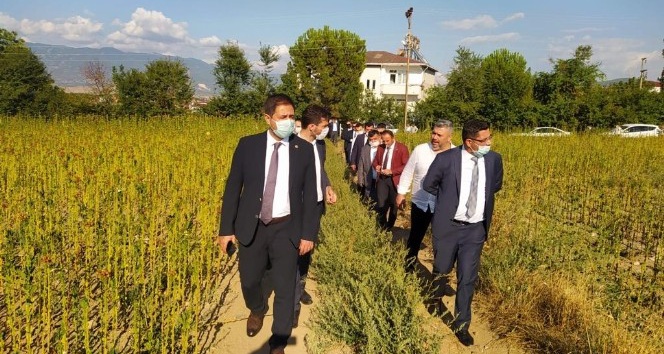 Tarih, toprak altından çıkarılmayı bekliyor