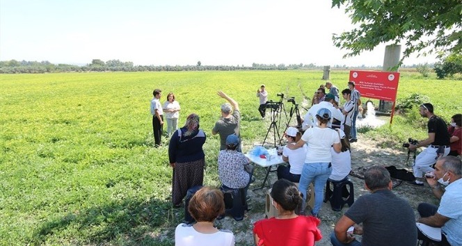 Osmaniyeli çiftçilere Ayşehanım yerfıstığı çeşidi tanıtıldı