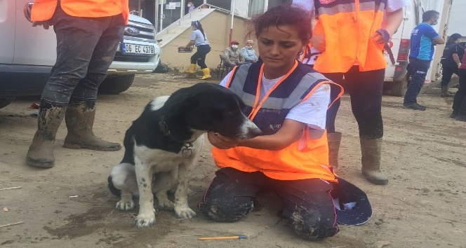 Selin vurduğu ilçede sokak hayvanları da unutulmadı