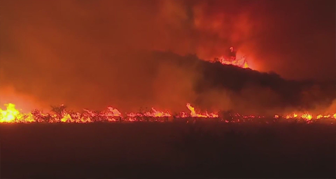 Arjantin’de 15 bin hektar ormanlık alan kül oldu