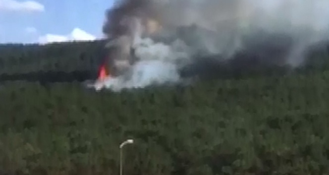 İstanbul Kayışdağı'nda ormanlık alanda yangın!