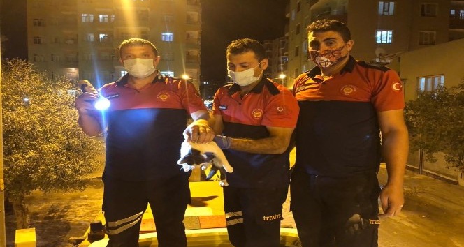 Otobüsün klima motoruna sıkışan kediyi itfaiye kurtardı