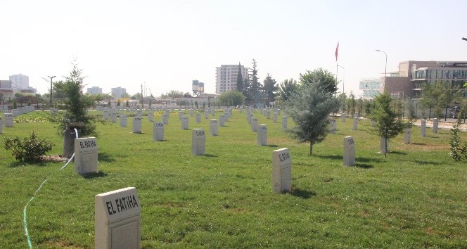 İstiklal savaşına tanıklık edenlerin mezarlarının bakım ve onarımları yapılıyor