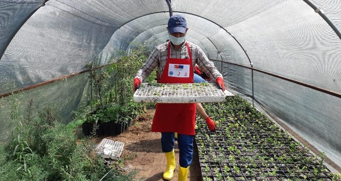 Üniversitede Fide ve Fidan yetiştiriciliği kursu açıldı