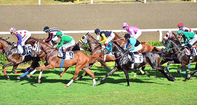 94. Gazi Koşusu'nda heyecan yarın