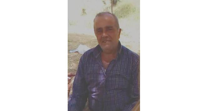 Arının soktuğu çiftçi hayatını kaybetti