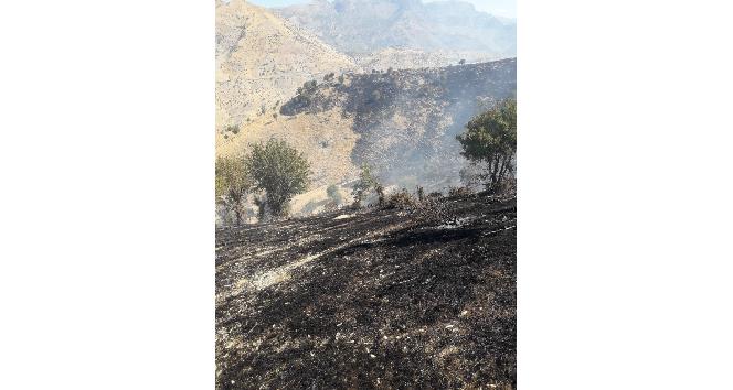 Şırnak’ta ağaçlık alanda yangın: Yüzlerce dönüm alan kül oldu