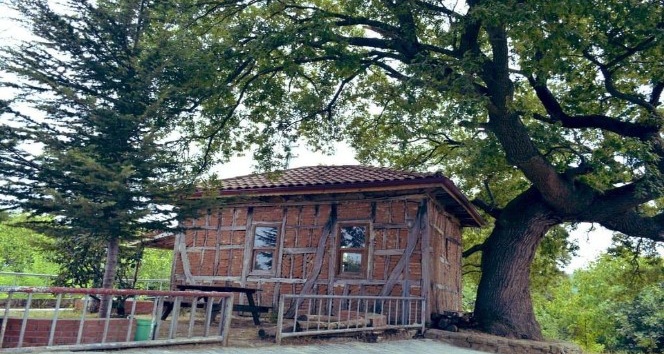 Türkiye’nin en küçük mescidi restore edilecek