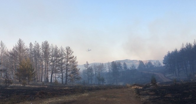 Çankırı’da orman yangınına 2 helikopter ve 1 uçak destek verdi