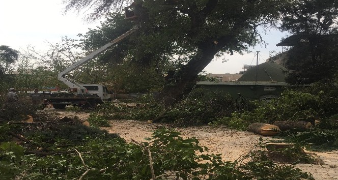 Hulk Dede Türbesinin çevre düzenlemesi başladı