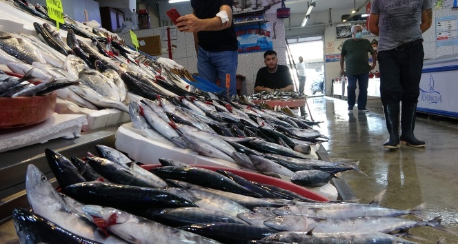 Palamutun fiyatı yüz güldürüyor, istavrit ve mezgitin fiyatı ise üzüyor
