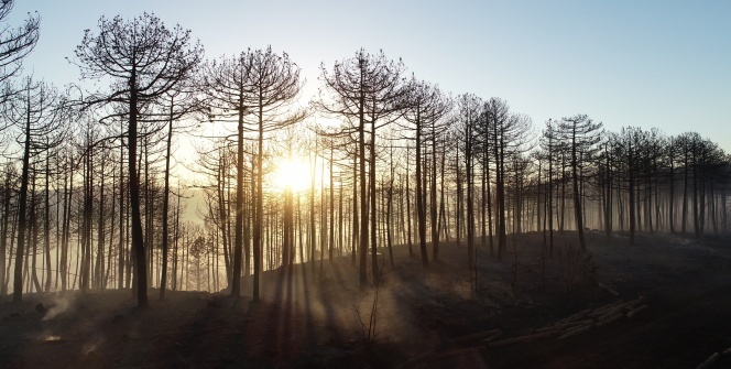 Yangının izleri gün ışığıyla ortaya çıktı