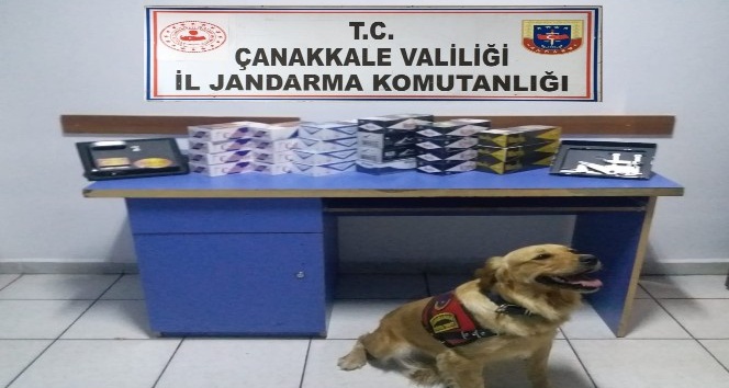 Gökçeada’da kaçak sigara operasyonu